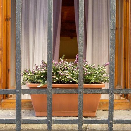 San Frediano District - Apartment Флоренция Экстерьер фото